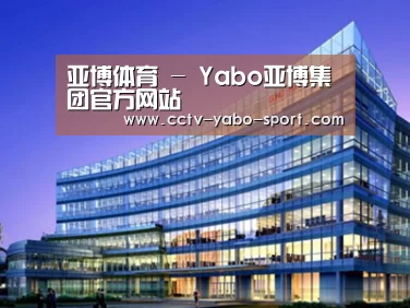 案例展示五
