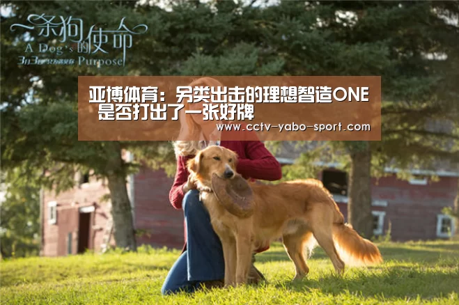 亚博体育:另类出击的理想智造ONE 是否打出了一张好牌(图3) 亚博官网